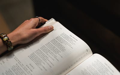 Scripture for Reflection | Synod 2021-23