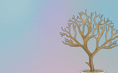 The Jesse Tree | Advent Week 1